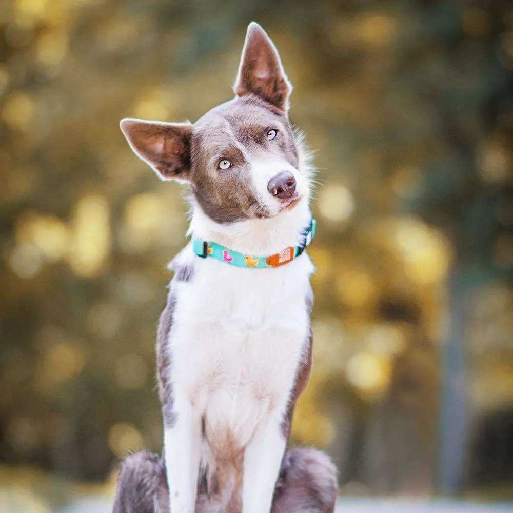 f5cf441672fc3d264e39c8ed89896a3f720a2f2ba17be20d63d77a876cf3a3f0.webp