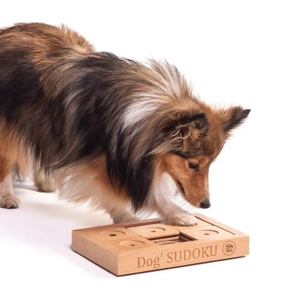 SUDOKU klein advanced - sudoku puzzel voor honden en katten