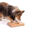 SUDOKU klein advanced - sudoku puzzel voor honden en katten